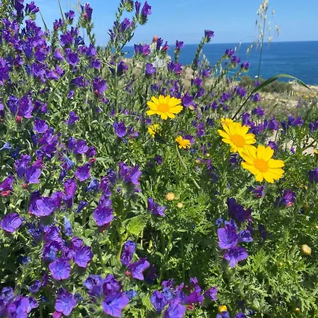 Holiday home Ortigia Levante
