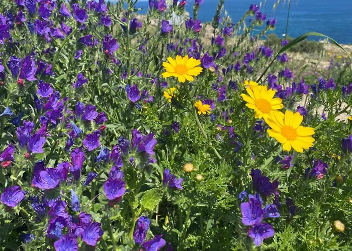 Дом отдыха Ortigia Levante